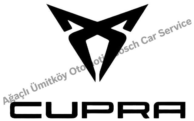 Ankara Cupra Servisi